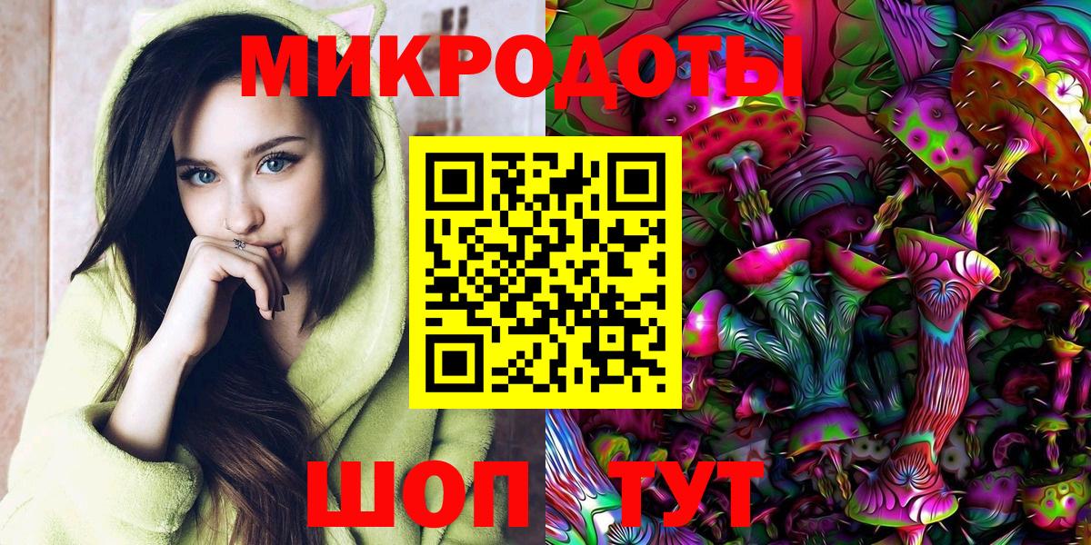 Псилоцибиновые грибы Psilocybe Димитровград